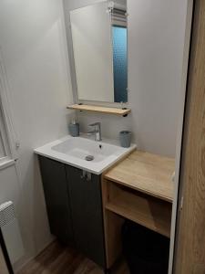 Mobil-home Camping Siblu La Reserve ****的一间浴室