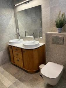 a bathroom with a sink and a toilet and a mirror at Szczurze wzgórze in Zachełmie