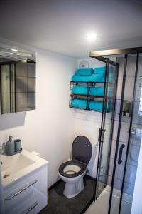 a bathroom with a toilet and a sink and a shower at Bienvenue dans le cyan 2 à 6 couchages in Cholonge