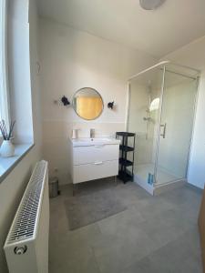 La salle de bains est pourvue d'un lavabo et d'une douche avec un miroir. dans l'établissement Bluestone Appartments 25qm free and near parking, à Blaustein