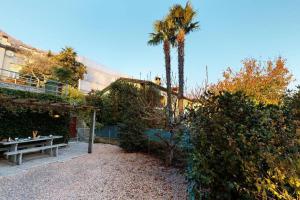 a garden with a bench and a palm tree at Casa delle Vigne: Giardino, pergola e vista lago in Minusio