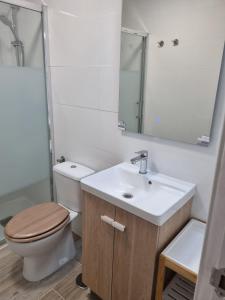 アリカンテにあるApartamentos Alicanteのバスルーム(トイレ、洗面台、鏡付)