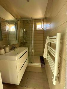 een badkamer met een douche, een wastafel en een spiegel bij Appart T3 Endoume balcon échappée mer in Marseille