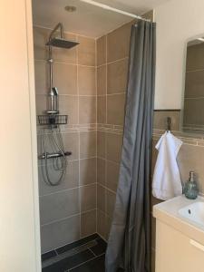 a shower with a shower curtain in a bathroom at Ferienwohnung Grüner Friese in Ihlow
