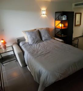 a bedroom with a large bed with a light on it at Studio vista in Antibes