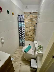 ein kleines Bad mit einem WC und einer Dusche in der Unterkunft Casa Orbe in Garachico
