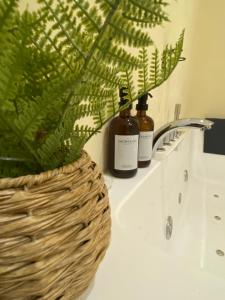 un lavabo con 2 botellas de jabón y una planta en Appartement cocooning l'ESCALE 2POST9 en Espira-de-lʼAgly