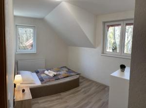 a bedroom with a bed and two windows at Medve Barlang üdülőházak in Pilisszentkereszt