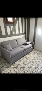 un sofá gris en una habitación con alfombra en Studio cosy atypique, en La Ferté-Bernard