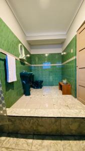 a bathroom with a toilet and a green wall at Templo de la Luna in Cusco
