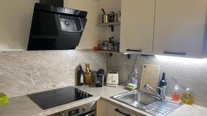 a kitchen counter with a sink and a microwave at Modern and well done flat Geneva - self check-in in Saint-Genis-Pouilly