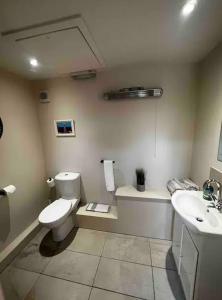 La salle de bains est pourvue de toilettes et d'un lavabo. dans l'établissement The Courtyard Rooms, à Brightlingsea
