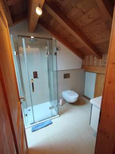 a bathroom with a shower and a toilet at 8-Person Chalet with Hot Tub in Portes du Soleil in Montriond +31 photos