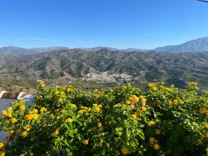 a tree with yellow flowers in front of a mountain at Casa del Burro Perezoso in Almáchar