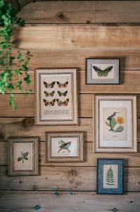 Gambar di galeri bagi The Potting Barn di Saint Ervan +31 gambar