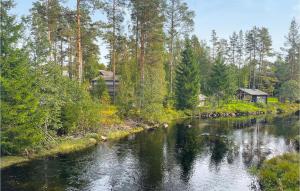 a river with a cabin in the middle of a forest at Gorgeous Home In Grue Finnskog With Kitchen in Svullrya