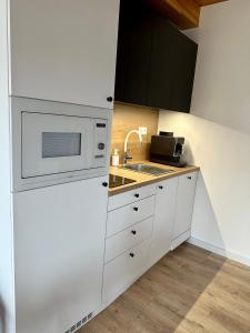Kuchyň nebo kuchyňský kout v ubytování Apartmánik pri Zubačke