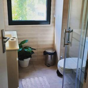 une petite salle de bains avec des toilettes et une plante dans l'établissement Quinta das Reveladas, à Marvão