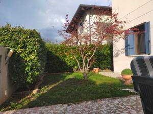 Zahrada ubytování La tua casa meravigliosa con giardino