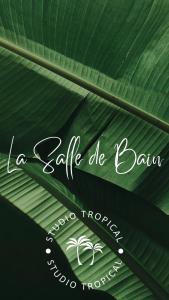 Foto dalla galleria di Studio Tropical avec vue mer dans une résidence hôtelière a Sainte-Luce