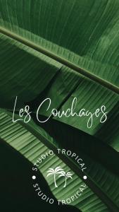 Certificato, attestato, insegna o altro documento esposto da Studio Tropical avec vue mer dans une résidence hôtelière