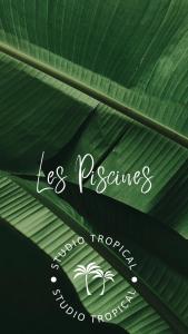 Foto dalla galleria di Studio Tropical avec vue mer dans une résidence hôtelière a Sainte-Luce
