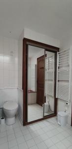 a bathroom with a toilet and a shower with a mirror at Welcome, Bienvenue, Chez Charly! in Nébian