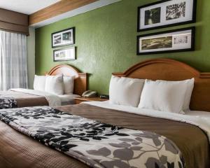 2 camas en una habitación de hotel con paredes verdes en Sleep Inn Slidell, en Slidell