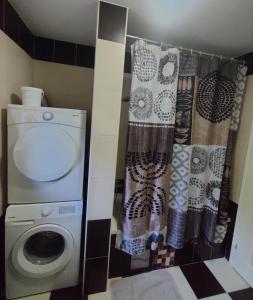 a bathroom with a washing machine and a shower curtain at Little village house in Káty