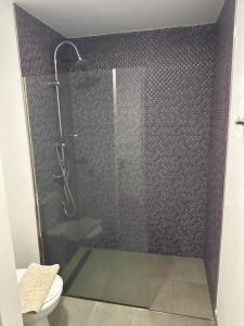 een badkamer met een douche en een toilet bij PURA VIDA in Arguineguín