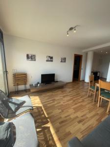 sala de estar con suelo de madera y TV de pantalla plana en Apartamento en Olvan, Berguedà - ALBERGA, en Olvan