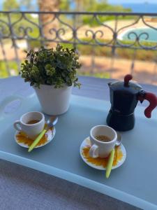 a tray with two cups of coffee and a plant at Rais Gerbi Appartamento in Pollina