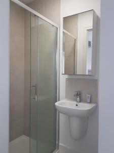 ein Bad mit einem Waschbecken und einer Glasdusche in der Unterkunft Barnoaks House - New Private Room with Private Bathroom in Dublin