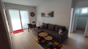 Χώρος καθιστικού στο Apartment Joerg Sibiu +7 φωτογραφίες