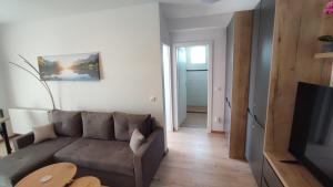 Μια τηλεόραση ή/και κέντρο ψυχαγωγίας στο Apartment Joerg Sibiu