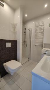 a bathroom with a toilet and a shower and a sink at Apartament Madelain in Jelenia Góra