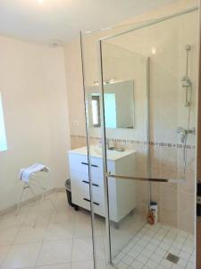 een badkamer met een glazen douche en een wastafel bij Les hirondelles 