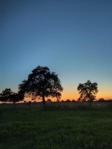 zwei Bäume auf einem Feld bei Sonnenuntergang in der Unterkunft Les hirondelles 