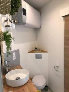 een badkamer met een wastafel en een toilet bij Le Kinfolk studio in Châtel-Guyon