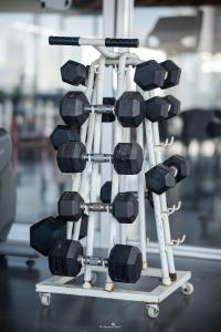 Fitness centrum a/nebo fitness zařízení v ubytování E&V Apartment