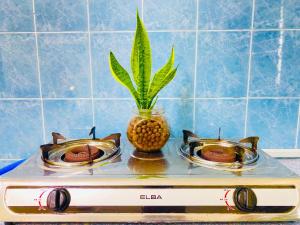 a stove with two plates and a vase with a pineapple at SOFEA HOMESTAY in Pantai Cenang