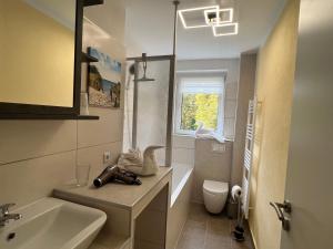 a small bathroom with a sink and a toilet at Ferienwohnung Frühauf Rochlitz in Rochlitz