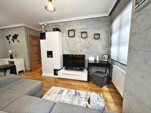 ein Wohnzimmer mit einem Sofa und einem TV in der Unterkunft Apartamento Hugu in Oviedo