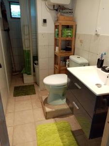 a bathroom with a toilet and a sink at Nature in Fort-de-France