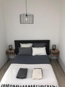 een slaapkamer met een groot bed met 2 nachtkastjes bij Appartement 4 a 6 pers entre Toulouse et Albi in Buzet-sur-Tarn