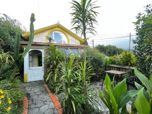 a small house with a white door in a garden at Sunset Nest in Ponta Delgada