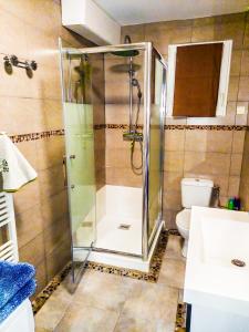 una cabina de ducha en un baño con inodoro en Villa marine, en Hirel