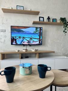 TV i/ili multimedijalni sistem u objektu Apartman Mint
