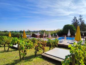 einen Pool mit einem Tisch, Sonnenschirmen und Reben in der Unterkunft Agriturismo e Cantina La Sabbiona in Faenza