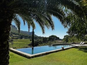 una piscina en un patio con una palmera en logement entier atypique à Cassis, en Cassis